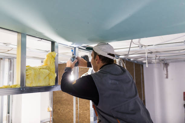 Best Insulation Contractors for Homes  in West Sharyland, TX