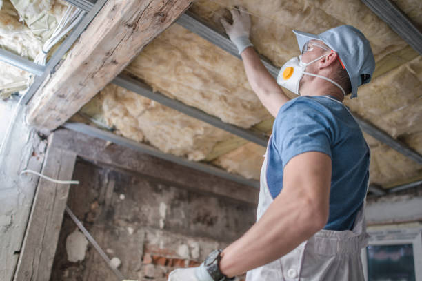 Best Energy-efficient Insulation  in West Sharyland, TX