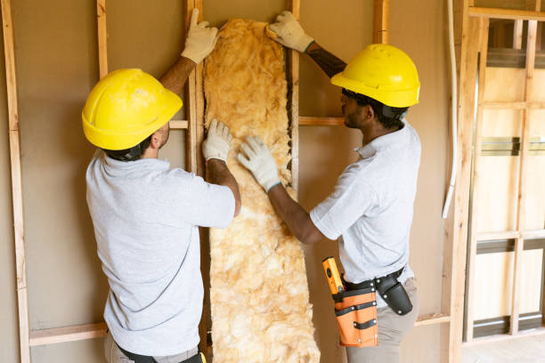 Best Crawl Space Insulation  in West Sharyland, TX