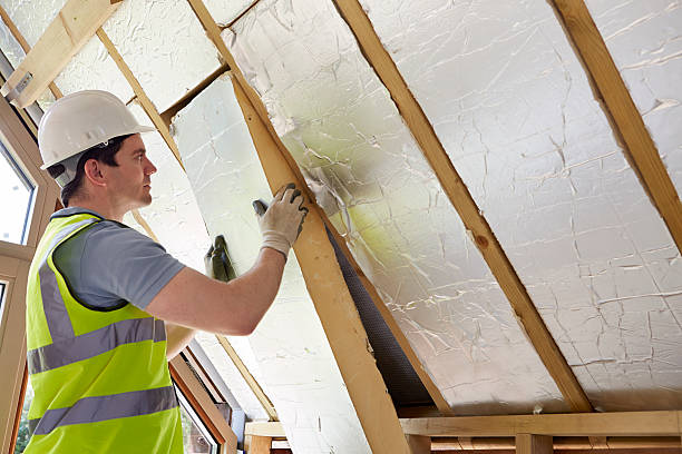 Best Insulation Repair Services  in West Sharyland, TX