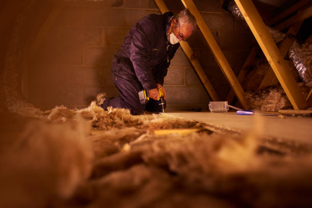 Best Commercial Insulation Contractor  in West Sharyland, TX